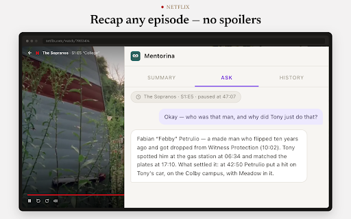 Mentorina: AI Video, PDF & Page Summarizer screenshot