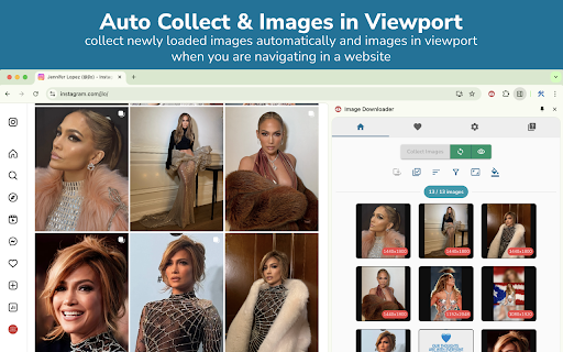 Image Downloader screenshot