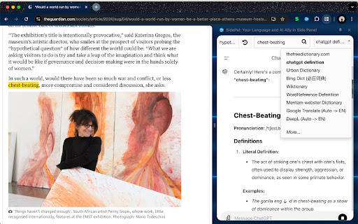 SidePal: Your Language and AI Ally in Side Panel screenshot
