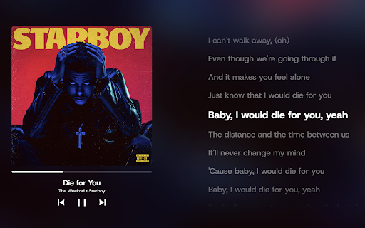 YouTube Music Beautifier screenshot