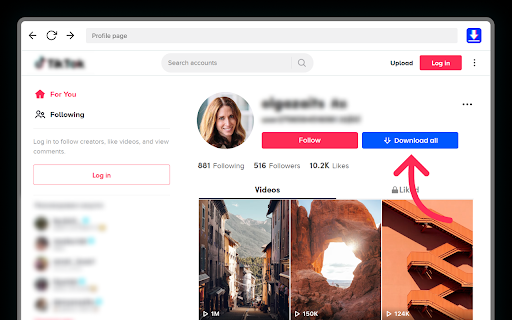 Mass TikTok Video Downloader screenshot