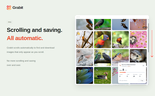 One-click image downloader - Grabit screenshot