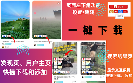 小红薯Pro-下载小红书视频/图片/评论 screenshot