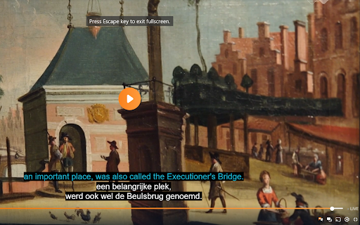 NPO Start Dual Subtitles screenshot