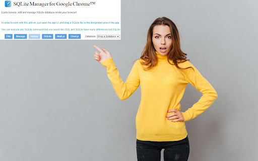 SQLite Manager for Google Chrome™ screenshot