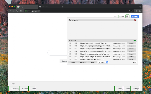 Broken Link Checker screenshot
