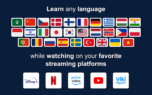 Sabi - AI Whisper & Dual Subtitles on Netflix, YouTube, Disney+, Viki screenshot