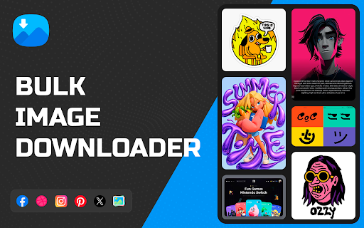 Bulk Image Downloader - Download All Images screenshot