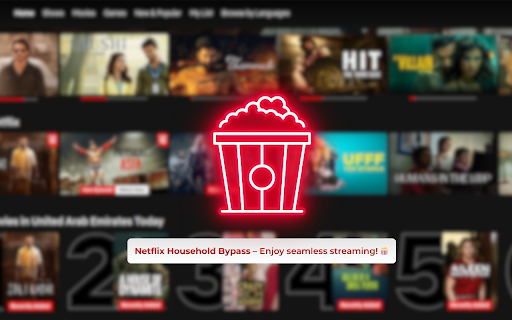 Netflix Household Bypass screenshot