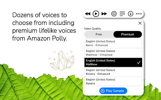 WebOutLoud - Text to Speech Web Reader screenshot