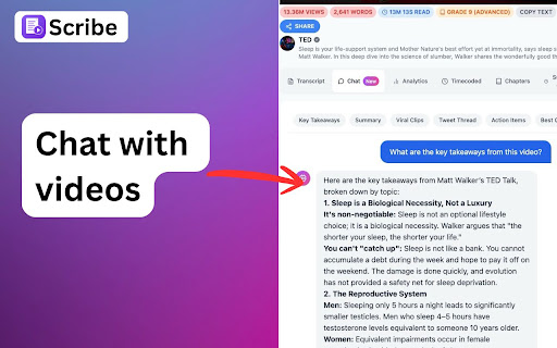 Transcribe & Chat to Videos | Scribe screenshot