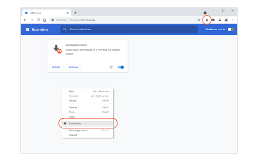 Downloads Button screenshot