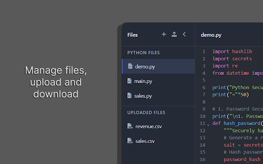 Python Playground screenshot