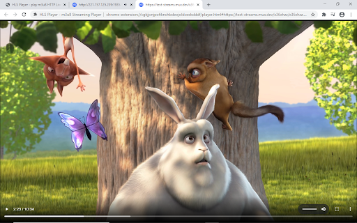HLS Player - m3u8 Streaming Player screenshot
