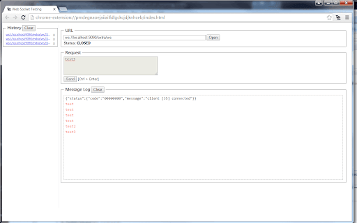 WebSocket Test Client screenshot