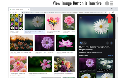 View Image Button screenshot