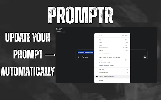 PromptR screenshot