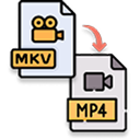MKV to MP4 icon