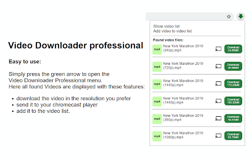Video Downloader Professional screenshot