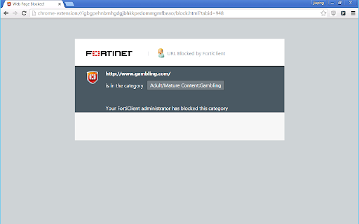FortiClient Chromebook Webfilter Extension screenshot