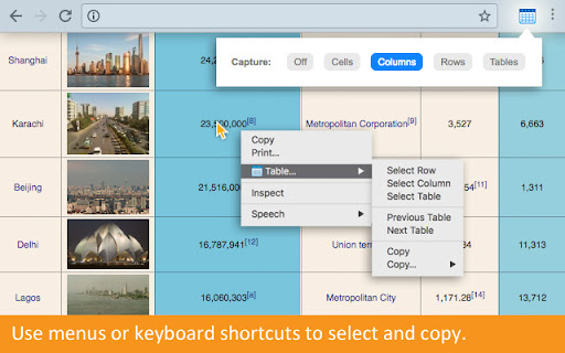 Copytables screenshot