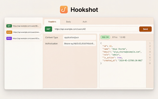 Hookshot - REST API Client & HTTP Request Tester for Developers screenshot