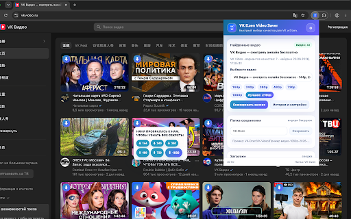 VK Video Downloader & Dzen Saver screenshot