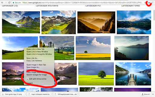 Gimp online - image editor and paint tool screenshot