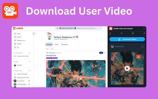 Reddit Video Downloader - Download from Posts, Profiles & Subreddits screenshot