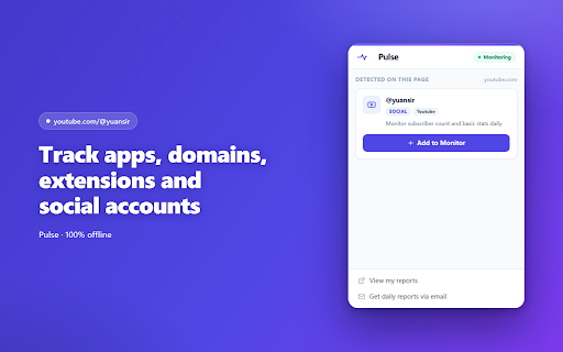 Website & Domain Monitor + App, Extension & Social Tracker · Pulse screenshot