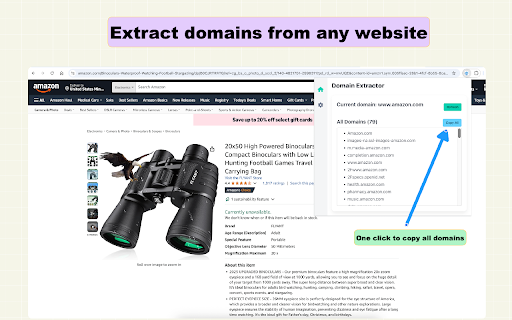 Domain Extractor screenshot