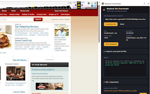 Wayback Site Downloader screenshot