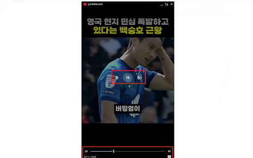 Shorts PiP (쇼츠 PIP) screenshot