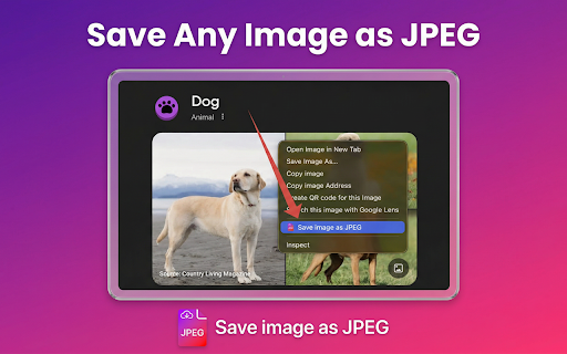 Save image as JPEG screenshot