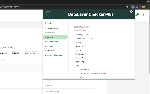 DataLayer Checker Plus screenshot