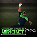 Fielder Challenge Cricket icon