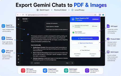 Export Gemini AI Chats to PDF screenshot