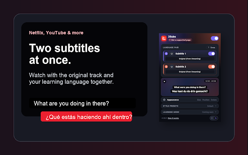 2Subs: Dual Subtitles for Netflix, YouTube & Learning screenshot