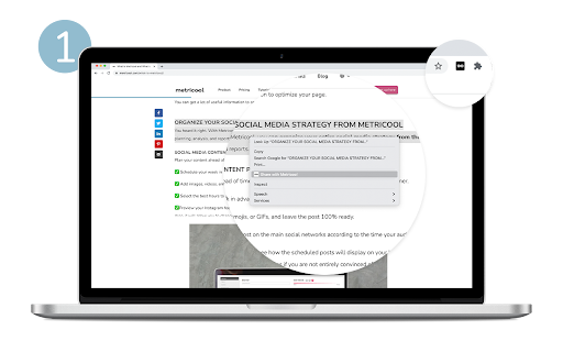 Metricool screenshot