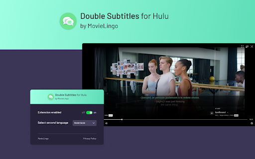 Double Subtitles for Hulu by MovieLingo screenshot