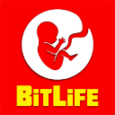 Life Simulator icon