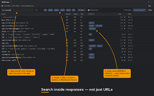 NetScope – Search Network Responses & WebSockets screenshot