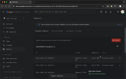Google Search Console - Bulk Index Cleaner screenshot