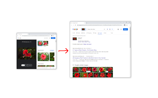 Disable Google Lens screenshot