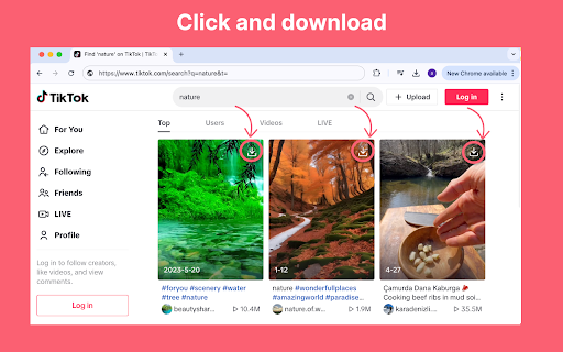 TikTok Downloader screenshot