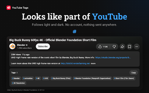 YouTube Tags — Video Tag Viewer & Extractor for Any Video screenshot