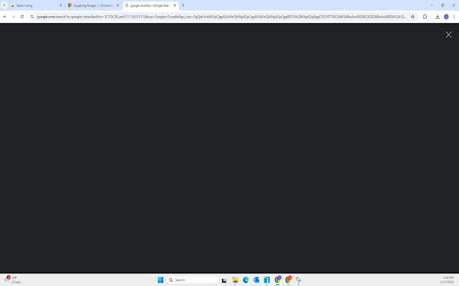 Doodle Blocker screenshot