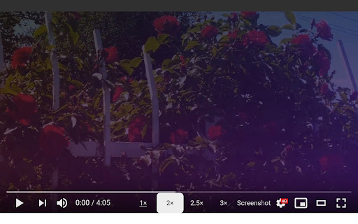 Screenshot YouTube screenshot