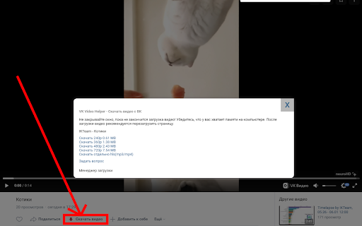 VK Video Helper screenshot
