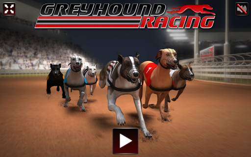 Greyhound Racing – Dog Race Simulator screenshot